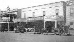 Comino's Oyster Saloon, Molesworth Street, c.1911