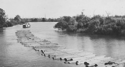 Drogher Aggie towing raft of pine logs, Richmond River